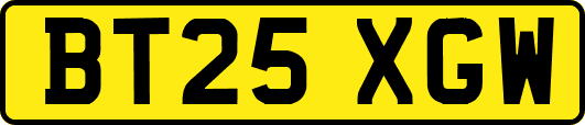 BT25XGW