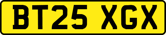 BT25XGX