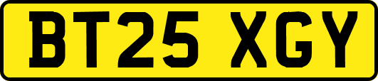 BT25XGY