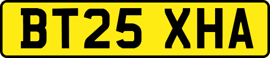 BT25XHA