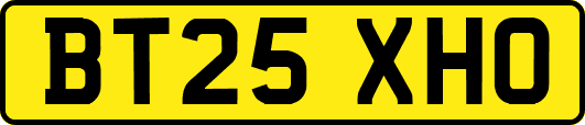 BT25XHO