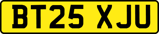 BT25XJU