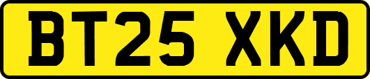 BT25XKD