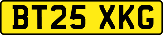 BT25XKG
