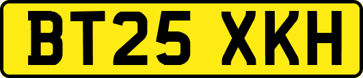 BT25XKH