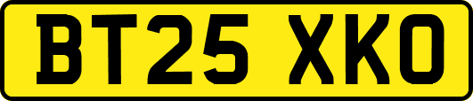 BT25XKO
