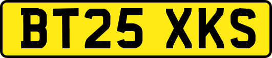 BT25XKS