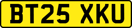 BT25XKU