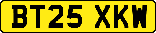 BT25XKW