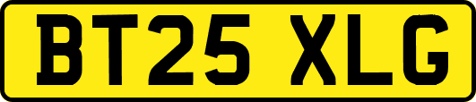 BT25XLG