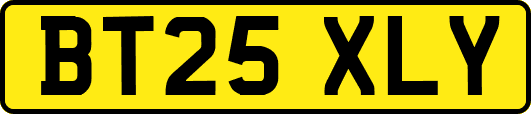 BT25XLY
