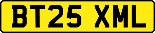BT25XML