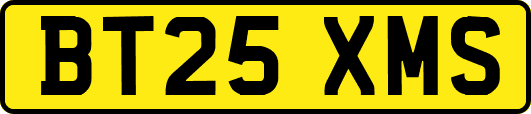 BT25XMS