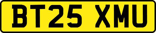 BT25XMU