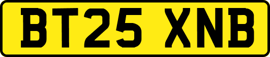 BT25XNB