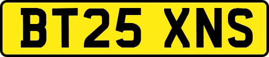 BT25XNS