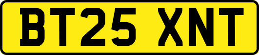 BT25XNT