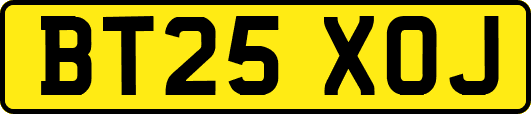 BT25XOJ