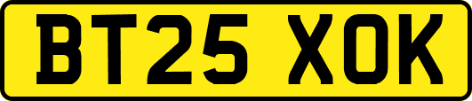 BT25XOK