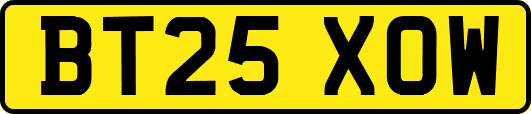 BT25XOW