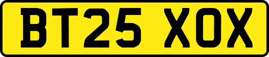 BT25XOX