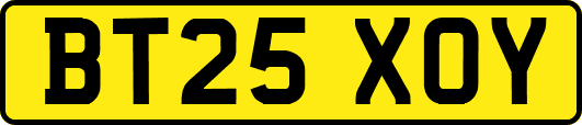 BT25XOY
