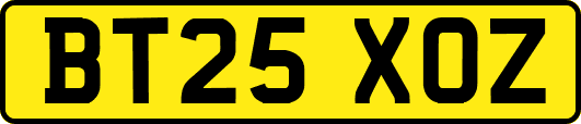 BT25XOZ
