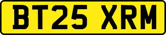 BT25XRM