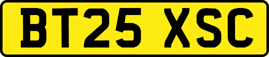 BT25XSC