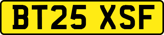 BT25XSF