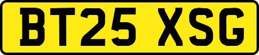 BT25XSG