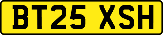BT25XSH