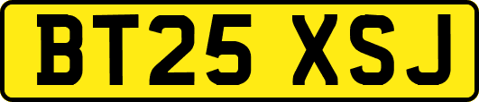 BT25XSJ
