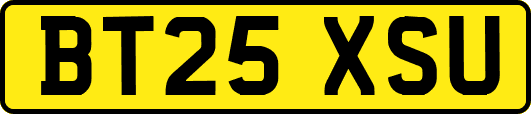 BT25XSU