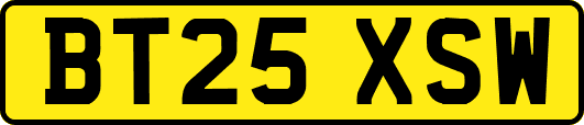 BT25XSW