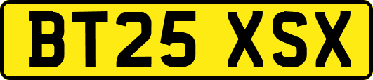 BT25XSX