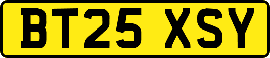 BT25XSY