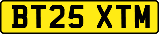 BT25XTM