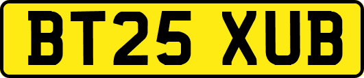 BT25XUB