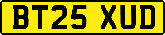 BT25XUD
