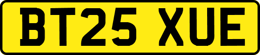 BT25XUE