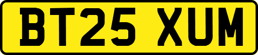 BT25XUM