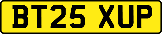 BT25XUP
