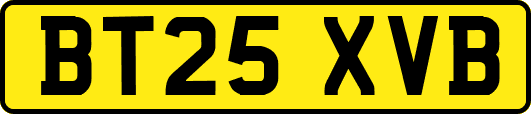 BT25XVB