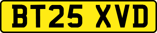 BT25XVD