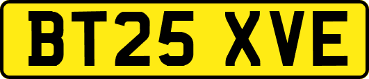 BT25XVE