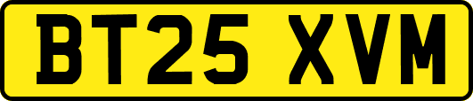 BT25XVM