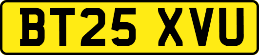 BT25XVU