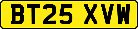 BT25XVW