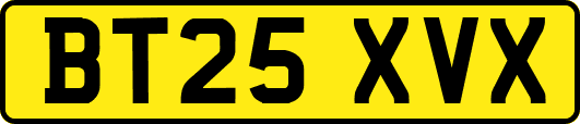BT25XVX